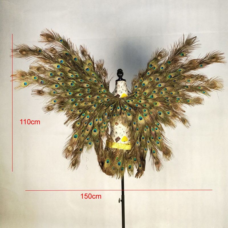 adult creative cosplay wing Pe – Interior Design Book Bewertung und Preis
